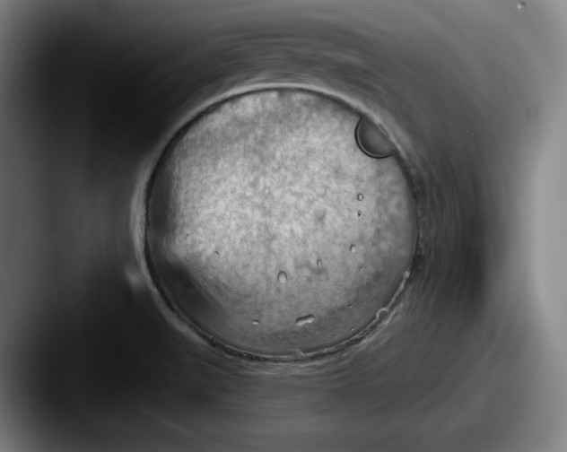 X0000087591519200705181210