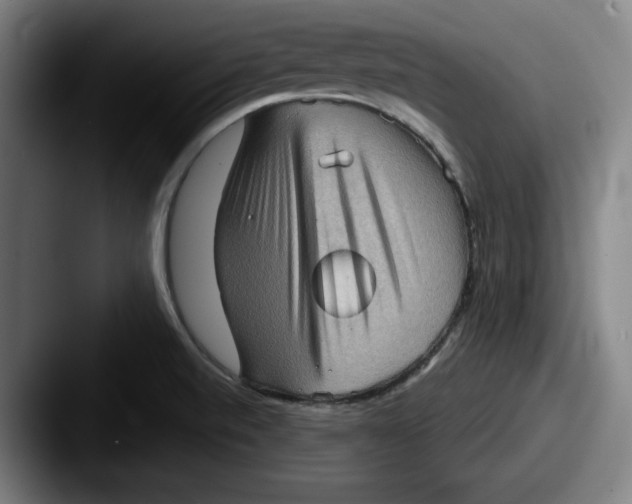 X0000087591520200705181210