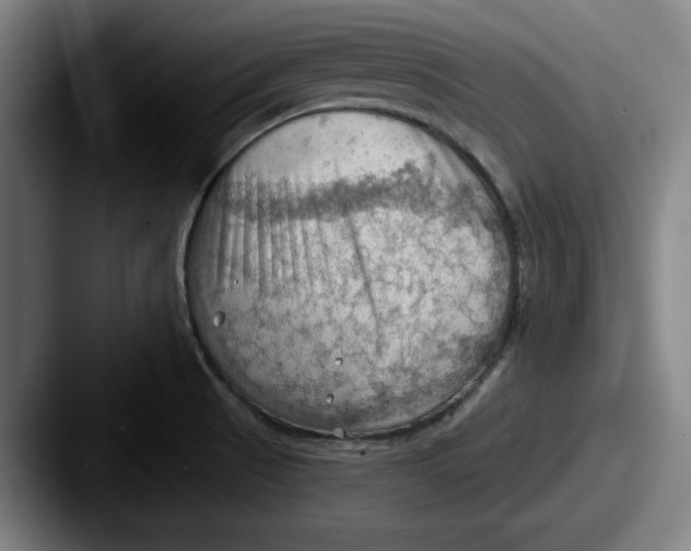 X0000087591521200705181210