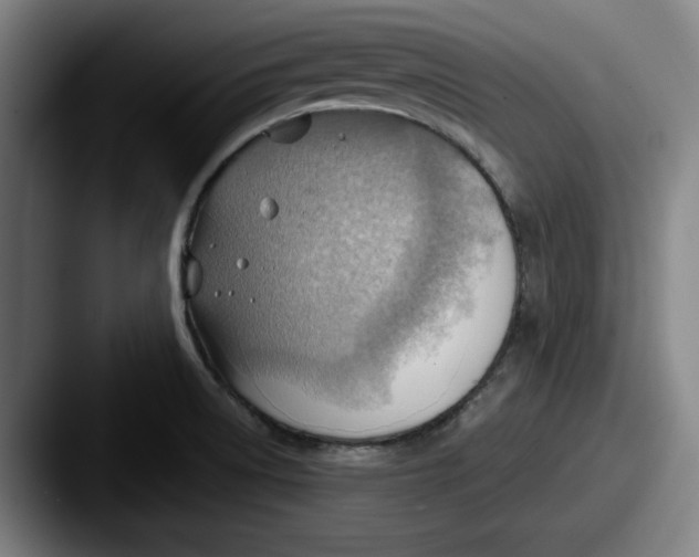 X0000087591522200705181210