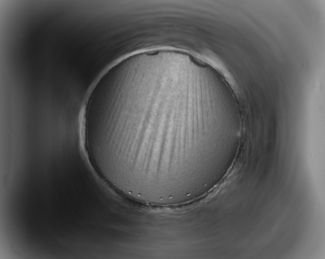 X0000087591524200705181210