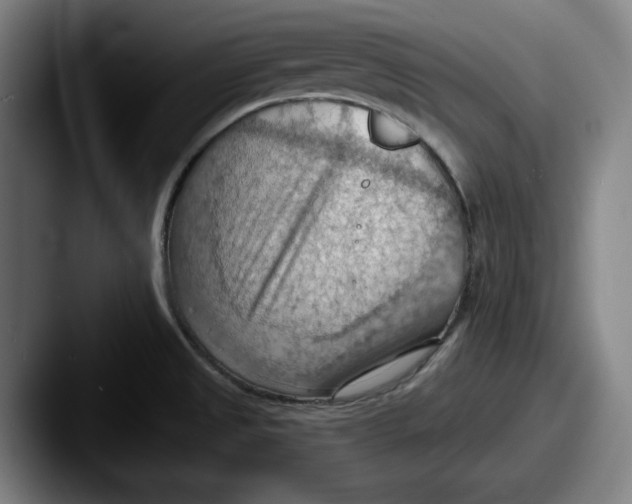 X0000087591525200705181210