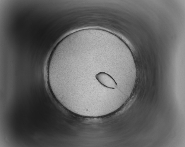 X0000087591526200705181210