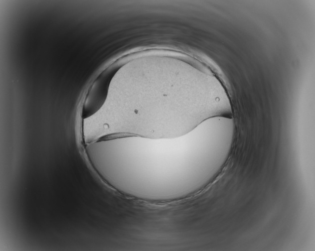 X0000087591528200705181210