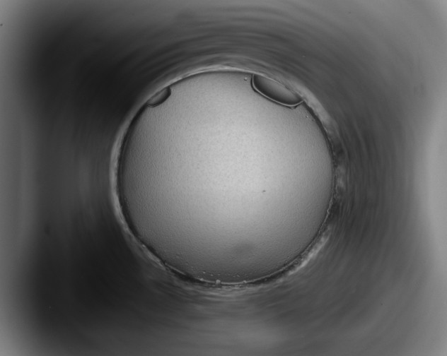 X0000087591530200705181210