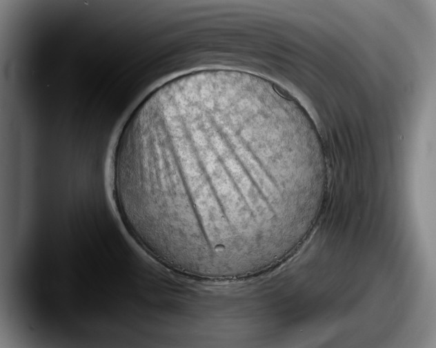 X0000087591531200705181210