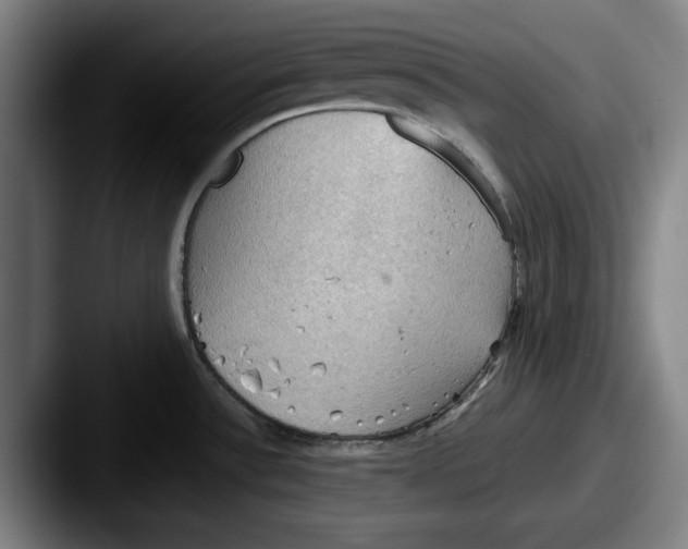 X0000087591532200705181210