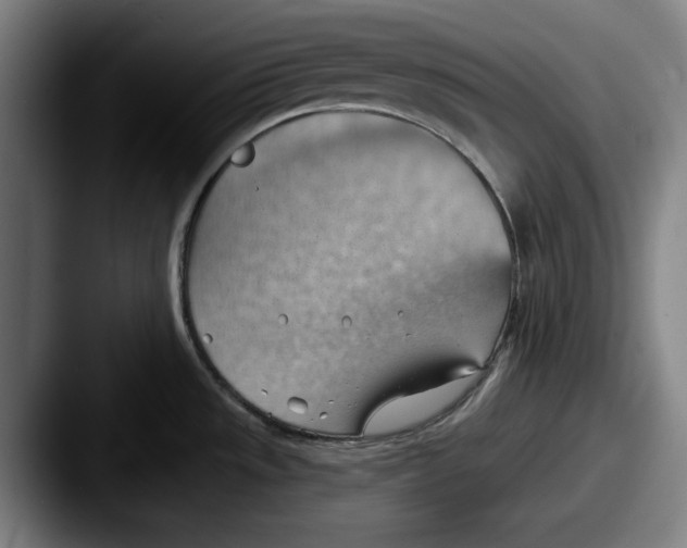 X0000087591533200705181210