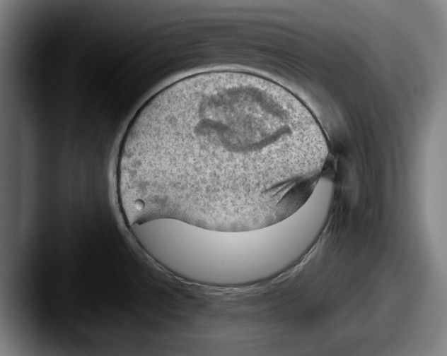 X0000087591534200705181210