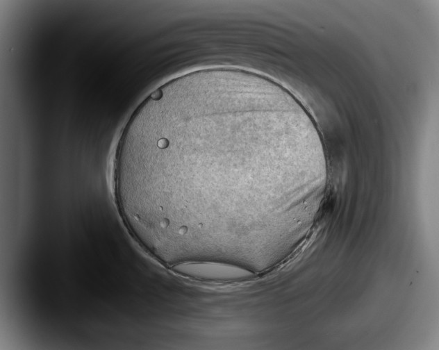 X0000087591535200705181210