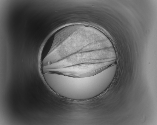 X0000087591536200705181210