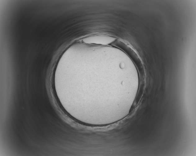 X0000087590001200705251911