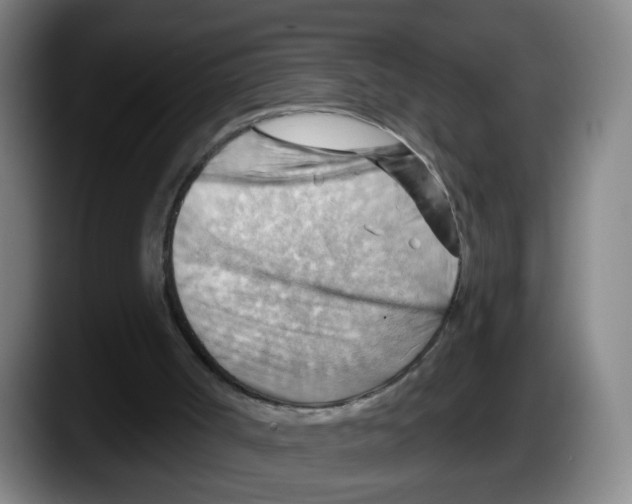 X0000087590002200705251911