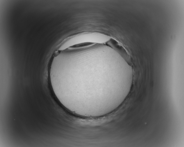 X0000087590005200705251911