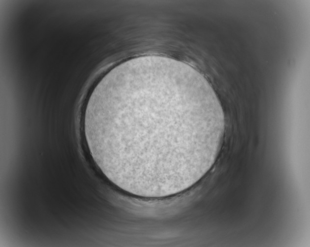 X0000087590006200705251911