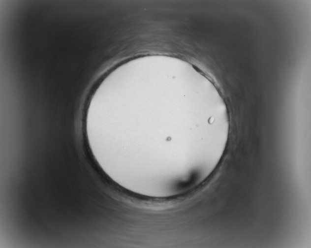 X0000087590008200705251911