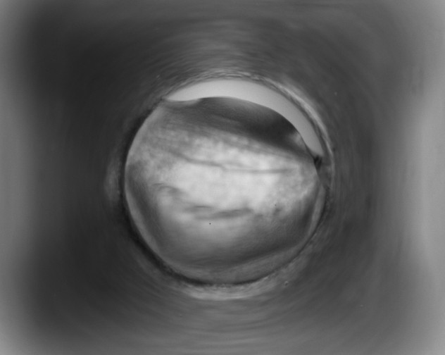 X0000087590009200705251911