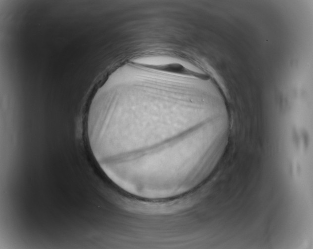 X0000087590010200705251911