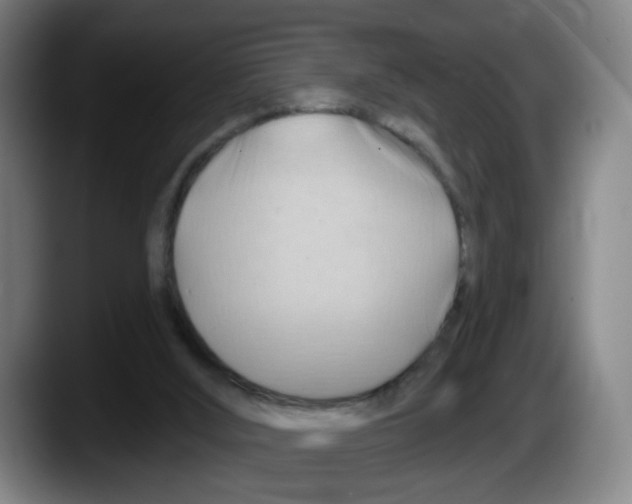 X0000087590012200705251911