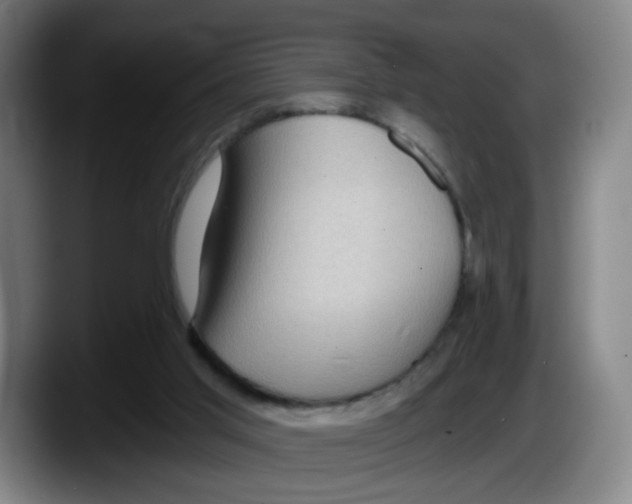 X0000087590013200705251911