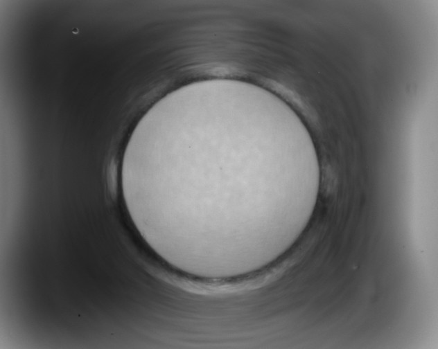 X0000087590014200705251911