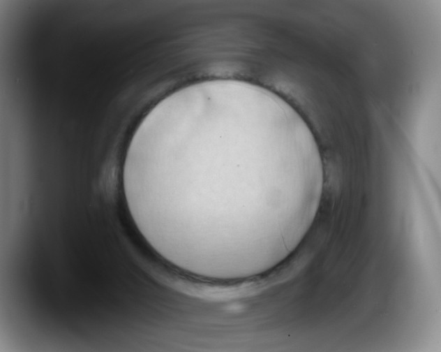 X0000087590016200705251911