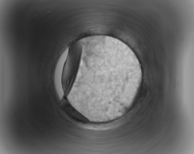 X0000087590017200705251911