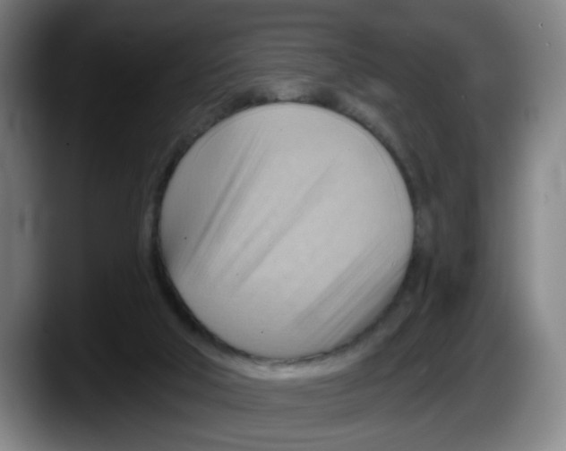 X0000087590018200705251911