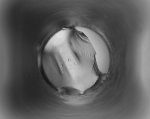 X0000087590019200705251911