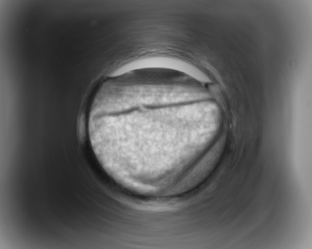X0000087590020200705251911