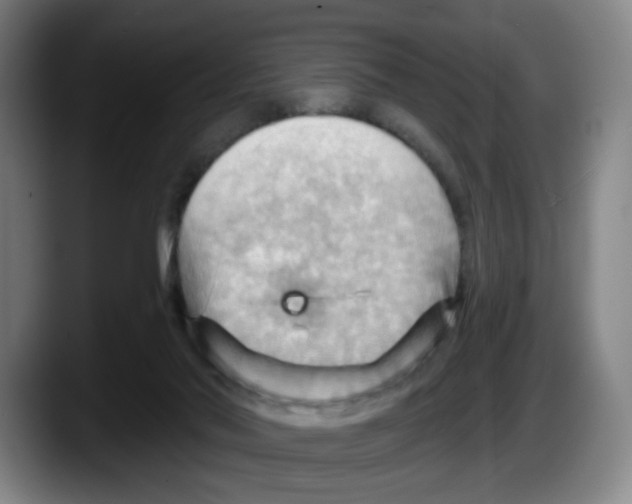 X0000087590022200705251911