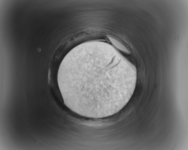 X0000087590024200705251911