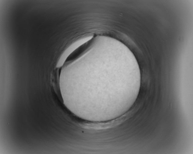 X0000087590025200705251911