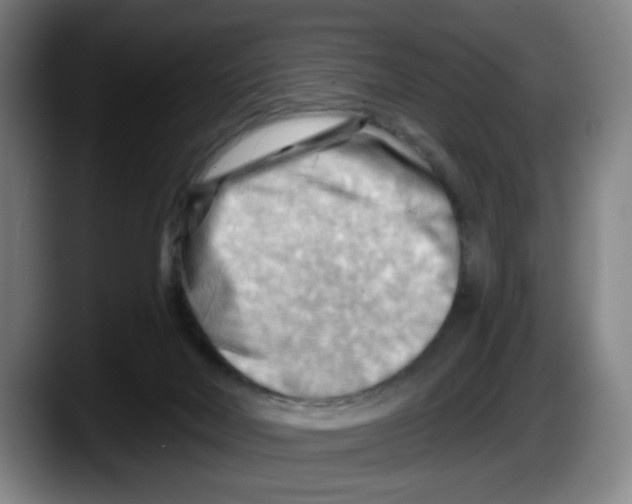 X0000087590026200705251911