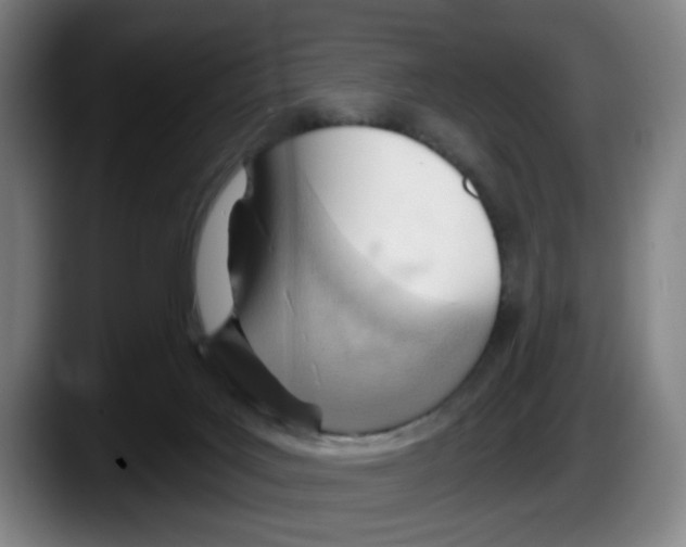 X0000087590027200705251911
