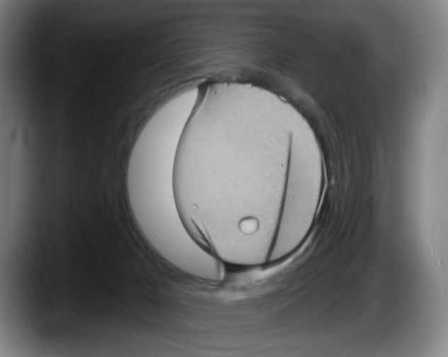 X0000087590029200705251911