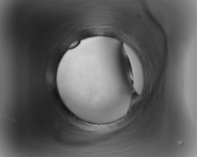 X0000087590031200705251911