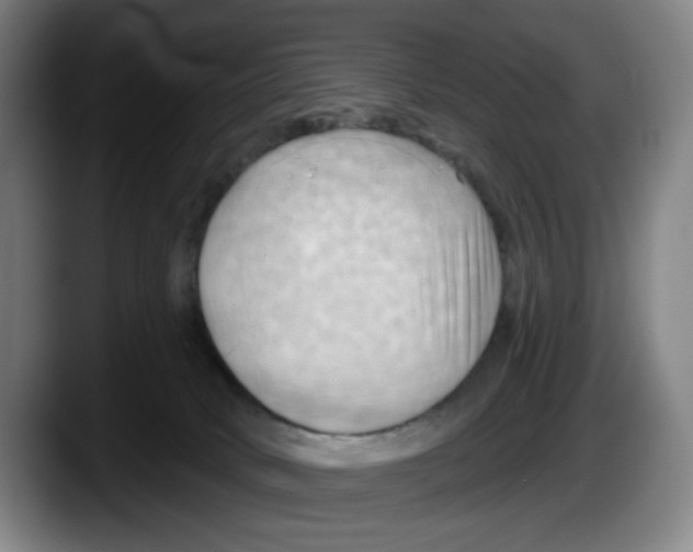 X0000087590034200705251911