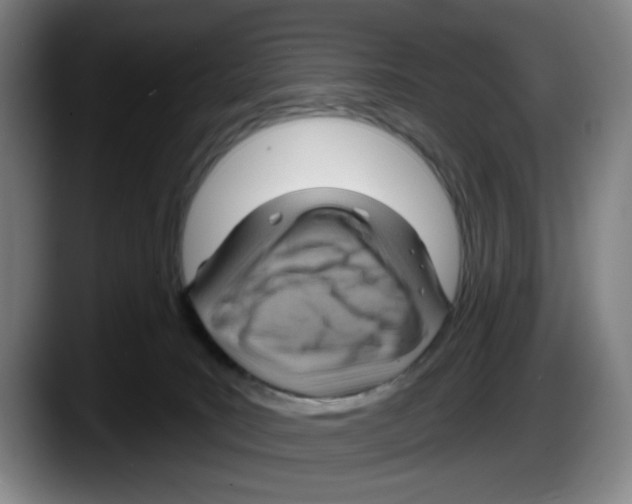 X0000087590035200705251911