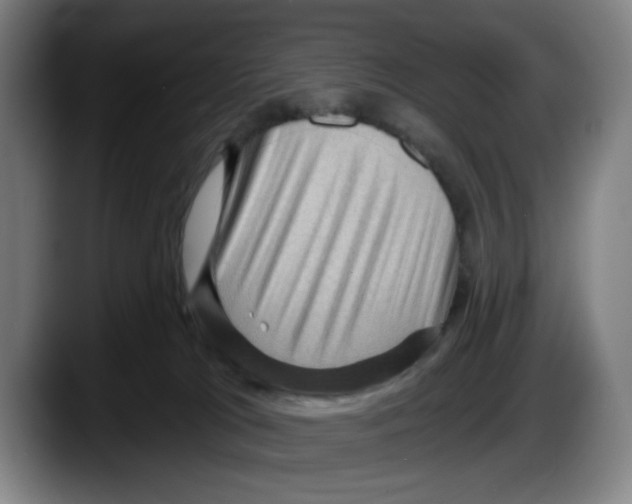 X0000087590037200705251911