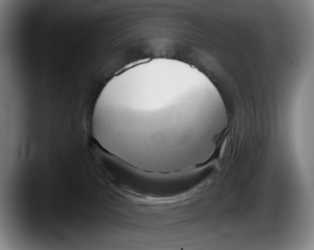 X0000087590039200705251911