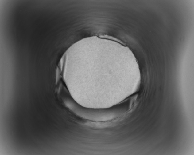 X0000087590041200705251911
