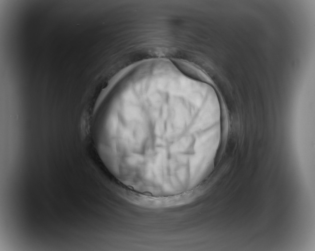 X0000087590043200705251911
