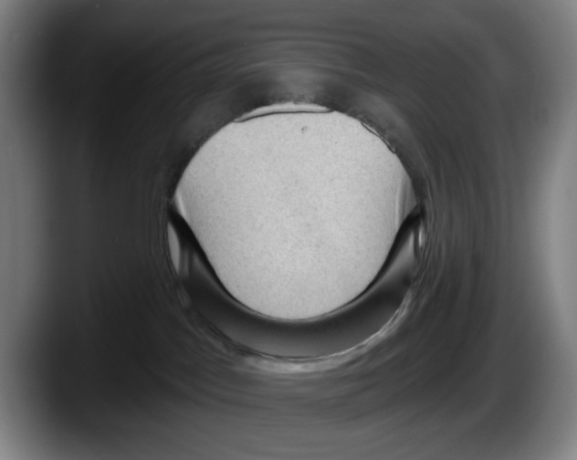 X0000087590045200705251911