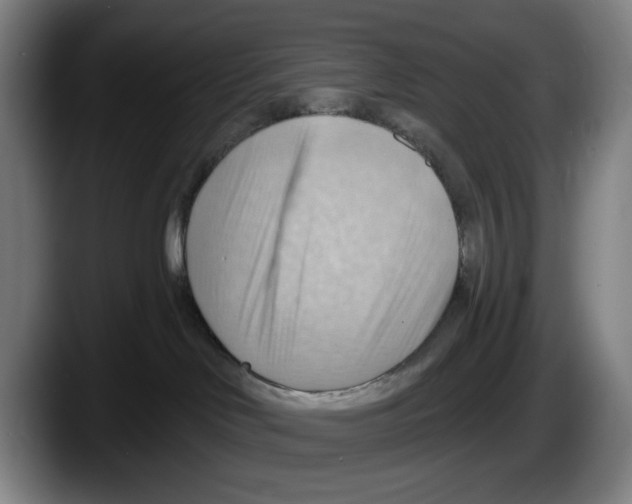 X0000087590046200705251911