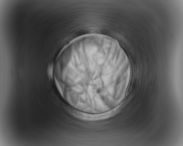 X0000087590047200705251910