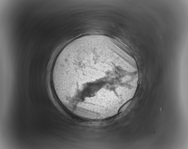 X0000087590049200705251910