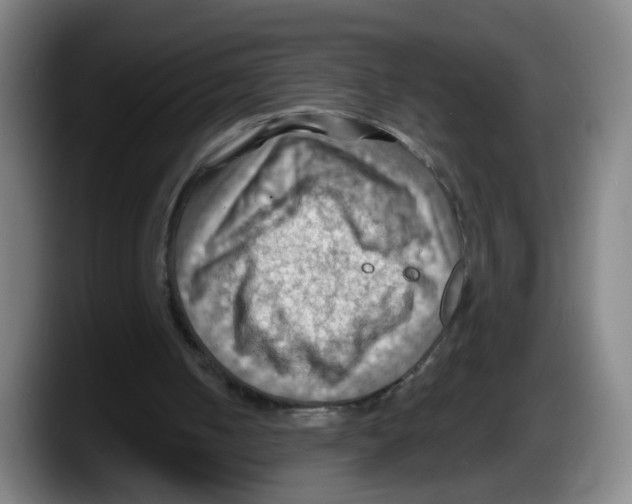 X0000087590050200705251910