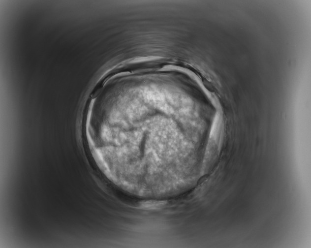 X0000087590051200705251910