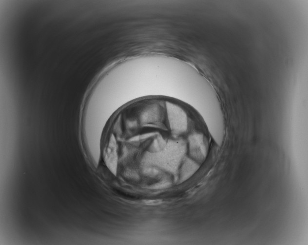 X0000087590052200705251910
